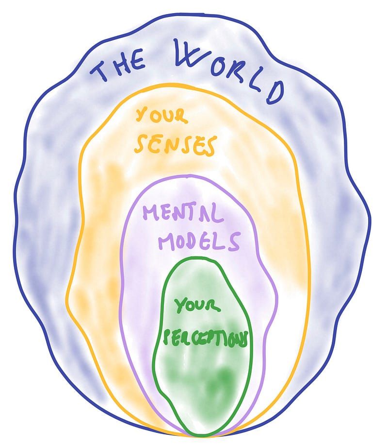 How mental models interact with your views of the world. All illustrations by the&nbsp;author.